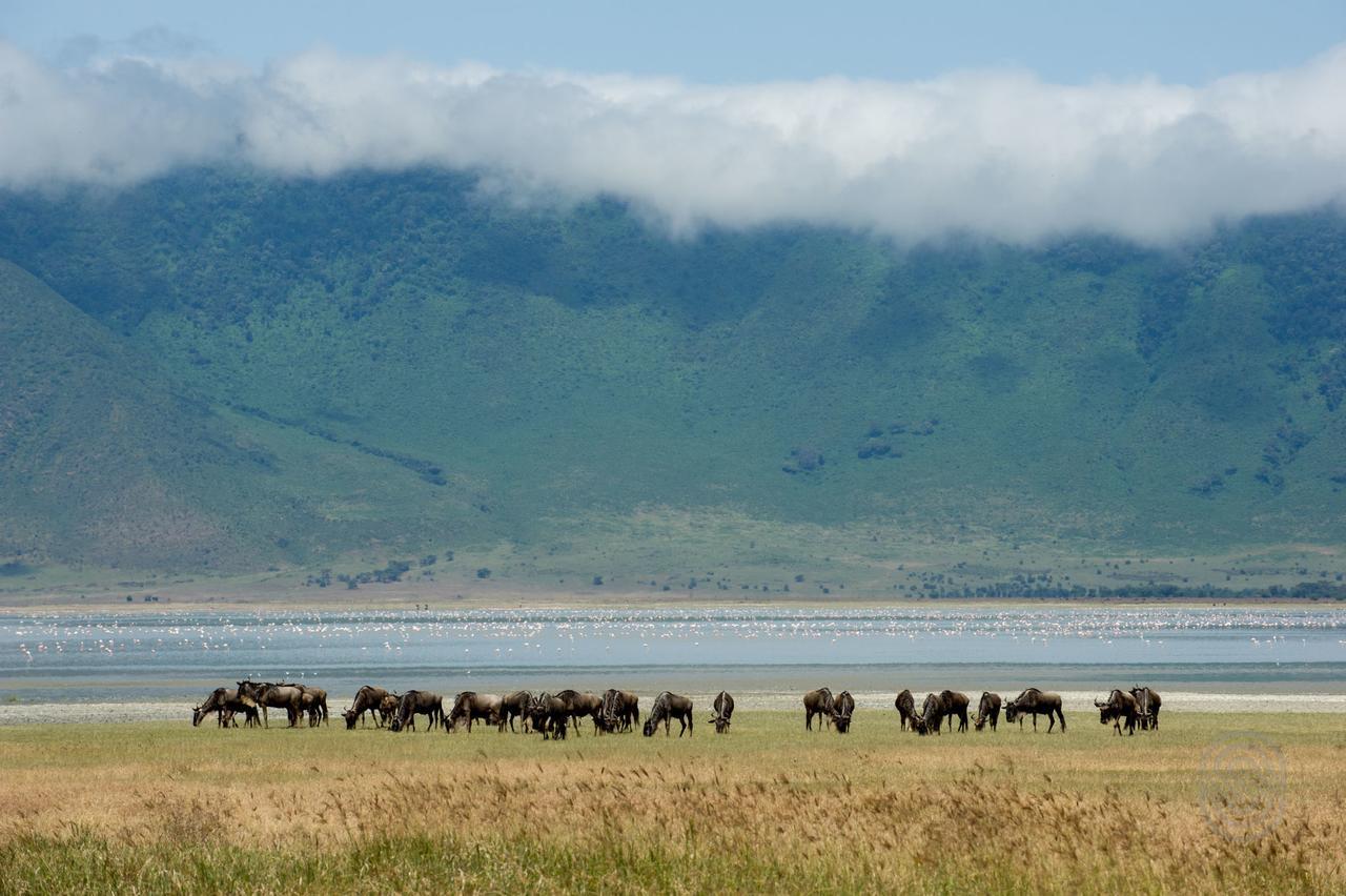 Ngorongoro Serena Safari Lodge Bagian luar foto